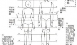 漫画比例图,人物、场景与道具的黄金比例解析
